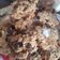 El cooksnap de Daiih Argumosa cuando hizo Galletas de avena y chips de chocolate.