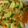 Cooksnap dari Sinar Guna untuk resep 83. Tumis Labu Siam Wortel