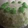 Cooksnap dari Wenny Sri Rizky Tarigan untuk resep Klepon Cake ala Farah Quinn