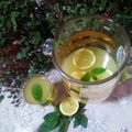 صورة من 🍓🇩🇿Sweet Fresa🍓، شاركها بعد تجربة وصفة 🍋عصير الليمون المنعش بنكهة مبشور الليمون و النعناع🌿