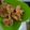 Cooksnap dari Siska Prapsiwi untuk resep Ayam pok-pok (ayam krispi kecil-kecil)