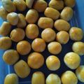 Cooksnap dari Tini Patarai untuk resep Nastar lembut lumer