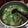 Cooksnap dari Indrianingtyas Eka Rini untuk resep Bobor daun labu siam