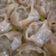 Cooksnap dari Evie Anita untuk resep Dimsum Ayam