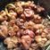 Cooksnap dari Febty Nuamoorea untuk resep Usus Babat Gula Asam