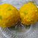 Devna Arora का कुकस्नैप जब उन्होंने बूंदी के लड्डू (boondi ke laddu recipe in hindi) बनाया था।