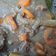Cooksnap dari Beautiful Nagata untuk resep Semur daging sapi simpel
