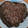 El cooksnap de Carmina cuando hizo Pastel de boniato y canela.