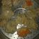 Cooksnap dari WilWil untuk resep Dimsum Ayam (tanpa udang)