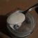 El cooksnap de Clau Toloza cuando hizo Yogurt en yogurtera.