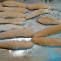 El cooksnap de María Carmen cuando hizo Palitos de oregano!.