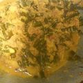 Cooksnap dari Ade Jubaedah untuk resep Sayur Urap Sunda