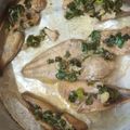 El cooksnap de Doña jairy cuando hizo Bagre al Ajillo & Trigo con Vegetales #lacocinadegiri#pescado #bagre.