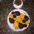کوک اسنپ Amri ari🥮🎂کرمانی بعد از امتحان کردن شیرینی ساده وخوشمزه😉😉.