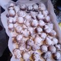El cooksnap de Karen Larrosa cuando hizo Buñuelos dulces.