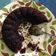 Cooksnap dari Dila Seltika untuk resep Choco larva melting toping keju