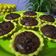 Cooksnap dari Vera Wati untuk resep PIE BROWNIES ❤