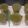 Jayshree Doshi's cooksnap of when they made ફુદીના જલજીરા (Mint Jaljeera Recipe in Gujarati).