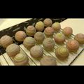 Yi-xuan LU 的 彩虹蛋黃酥（レインボームンケーキ） cooksnap