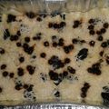 Cooksnap dari Nasywa Catering untuk resep Oreo Bread Pudding
