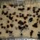 Cooksnap dari Nasywa Catering untuk resep Oreo Bread Pudding