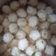 Cooksnap dari Tiwi Wahyu untuk resep Bakso Sapi Kenyal Renyah Alami