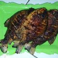 Cooksnap dari Enii_S untuk resep Ikan bawal bakar teflon