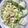 pamelarochelle's cooksnap of when they made Marinated Cucumers.