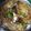 Pinal Patel's cooksnap of when they made રગડા પેટીસ (Ragda Pattice Recipe In Gujarati).
