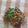 Cooksnap dari SN Ardilla untuk resep Nila goreng bumbu cabe rawit pedas 