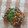 Cooksnap dari SN Ardilla untuk resep Nila goreng bumbu cabe rawit pedas 