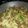 El cooksnap de Fla Desirée Ribulgo cuando hizo Tallarin salteado con salsa de soja .