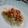 El cooksnap de Mariela Figueredo cuando hizo Espaguetis con pollo y ensalada con croutones.