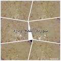 صورة من طـبخآت يآسـمـين🌹🌷، شاركها بعد تجربة وصفة قمحية باللبن