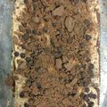 El cooksnap de Diego Sands cuando hizo Chocotorta.