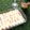Cooksnap dari Lucky Kitchen untuk resep Magnolia Bakery Banana Pudding