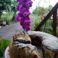 Cooksnap dari Triwidia Wati untuk resep Marmer Cake 6 telur moist