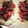 tamivandiford7's cooksnap of when they made Slowcooker Carnitas.