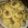 El cooksnap de Paola Vanella cuando hizo Masitas / galletas dulces sabor naranja y limón!! Apta APLV..