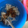 Cooksnap dari nina untuk resep Ayam Goreng Mentega Devina Hermawan
