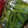 صورة من اولادي سعادتي ( ام آدم )، شاركها بعد تجربة وصفة مخلل بندورة 🍅