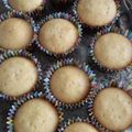 El cooksnap de Jdvsaosbsl cuando hizo Cupcakes de vainilla sin mantequilla.