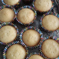 El cooksnap de Jdvsaosbsl cuando hizo Cupcakes de vainilla sin mantequilla.