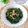 Cooksnap dari Niar Arifuddin untuk resep Tumis Daun Singkong