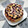 El cooksnap de Lledó Vitores cuando hizo Blueberry cheesecake.