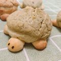 邱韋蘋 的 湯種抹茶烏龜菠蘿麵包 cooksnap