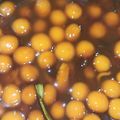 Cooksnap dari Dita Astarina untuk resep Kolak Biji Salak Kenyal