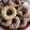 Cooksnap από Βέρα Τζιλέτα στη συνταγή Πανεύκολα Donuts