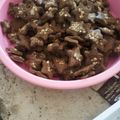 Cooksnap dari Irwans Tasya untuk resep Choco cookies