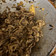 Cooksnap dari Sri Wijayanti untuk resep Simple Slice Beef Teriyaki ala Yoshinoya